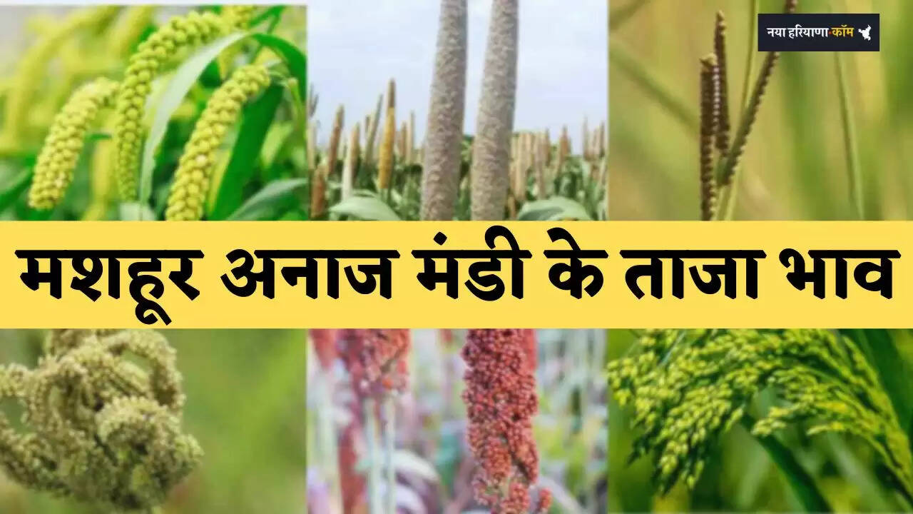 Latest prices of famous grain markets