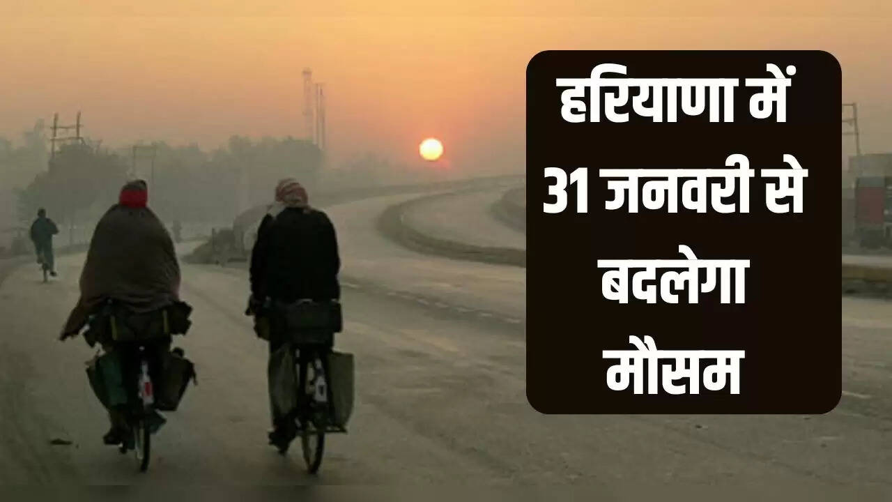 haryana weather update