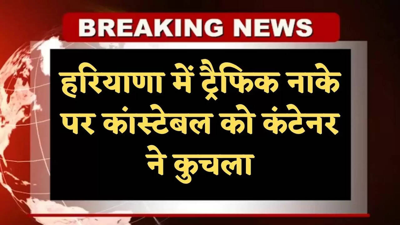 haryana news