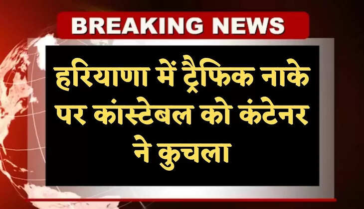 haryana news