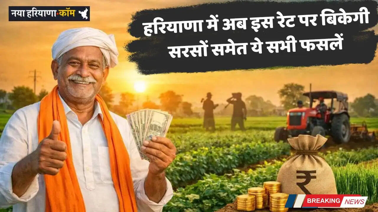 Haryana: हरियाणा में नए MSP रेट हुए तय, अब इस रेट पर बिकेगी सरसों समेत ये सभी फसलें&nbsp;