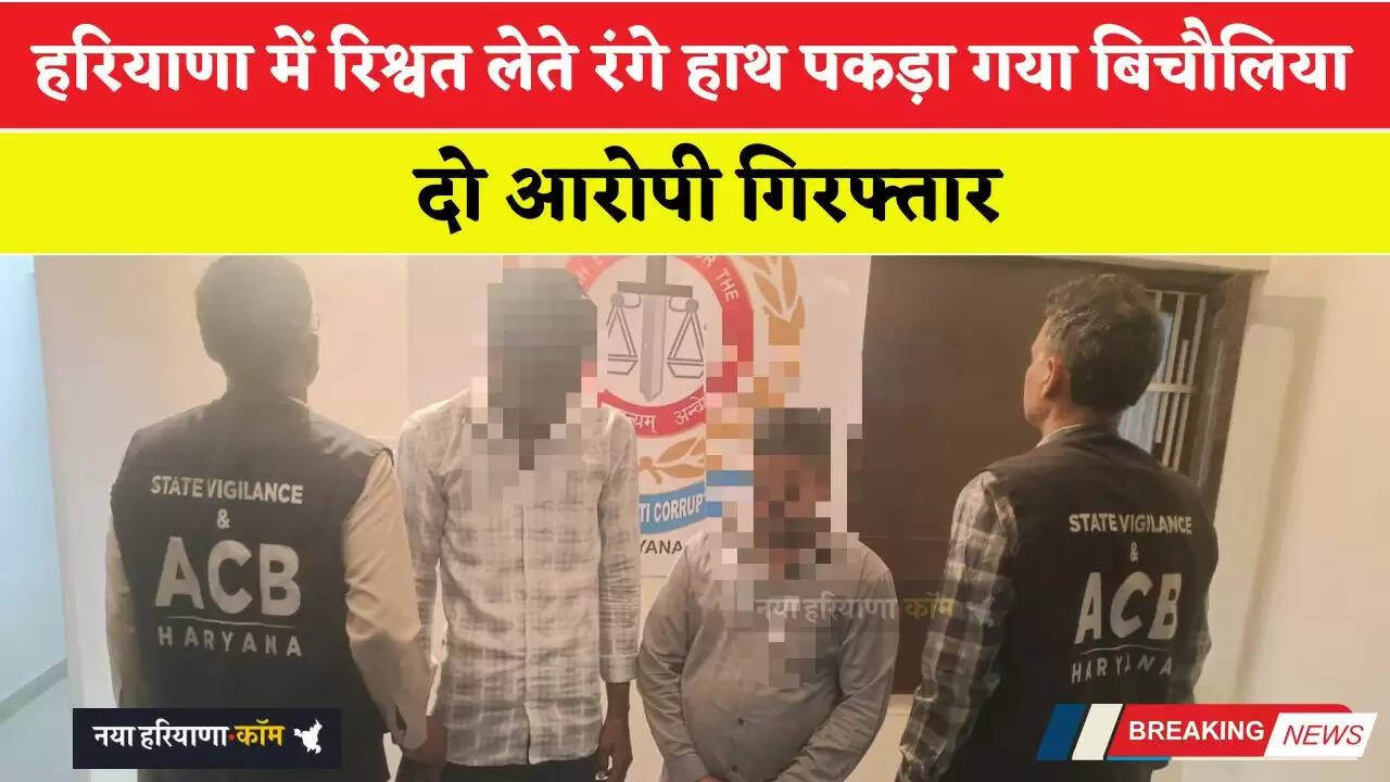 हरियाणा में रिश्वत लेते रंगे हाथ पकड़ा गया बिचौलिया, दो आरोपी गिरफ्तार
