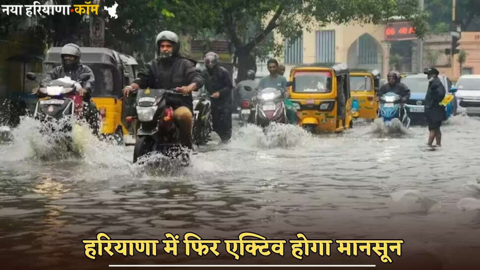 Monsoon will be active again in Haryana
