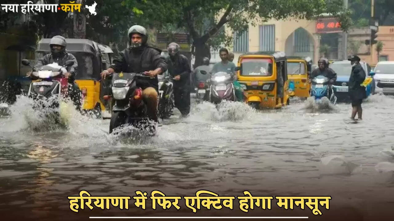 Monsoon will be active again in Haryana