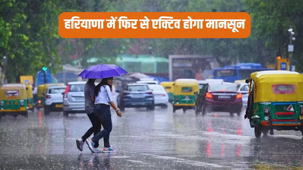Monsoon will be active again in Haryana