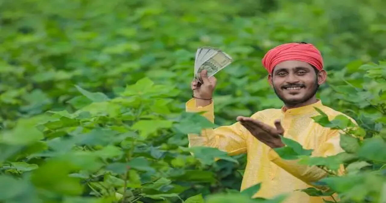 Haryana Government announces financial assistance for cotton farmers&nbsp;