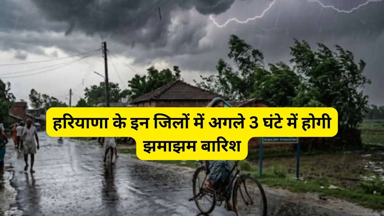 हरियाणा के इन जिलों में अगले 3 घंटे में होगी झमाझम बारिश, IMD का अलर्ट जारी &nbsp;
