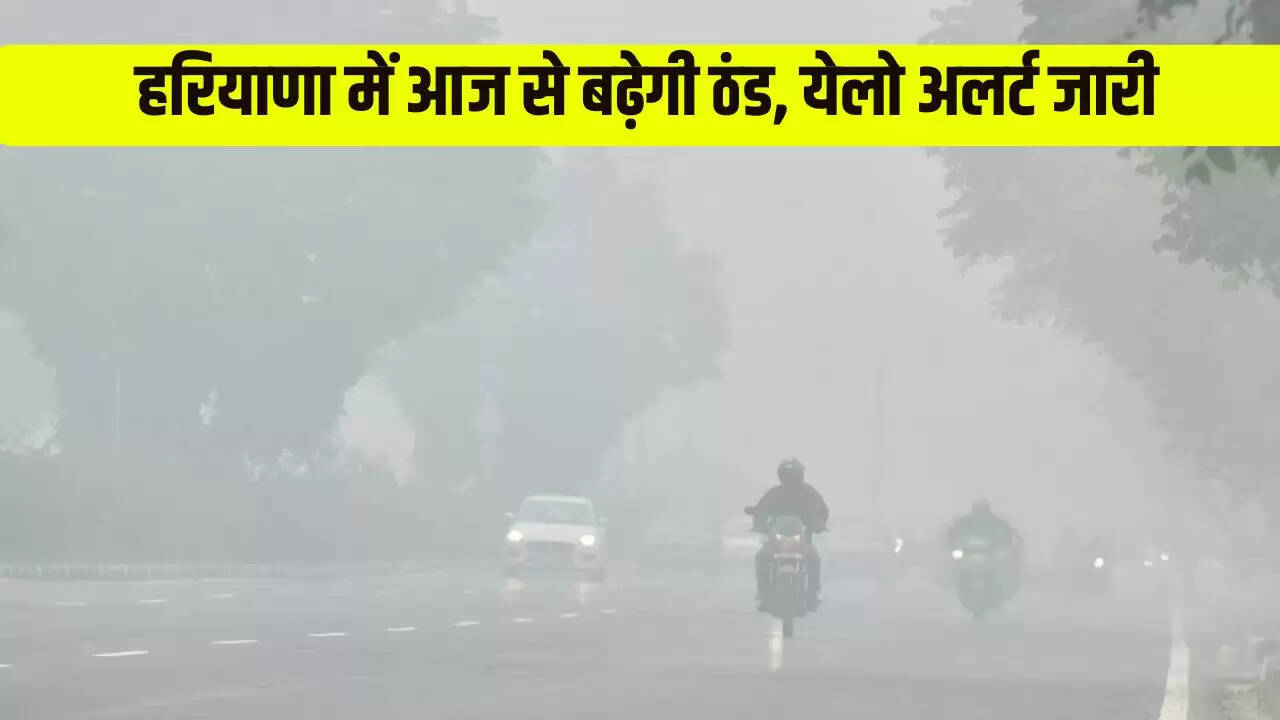 haryana weather udpate