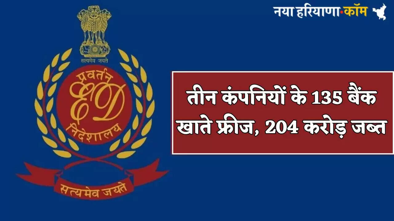 135 bank accounts of three companies frozen, Rs 204 crore seized