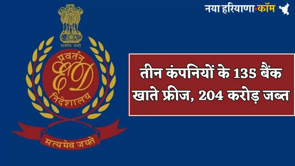 135 bank accounts of three companies frozen, Rs 204 crore seized