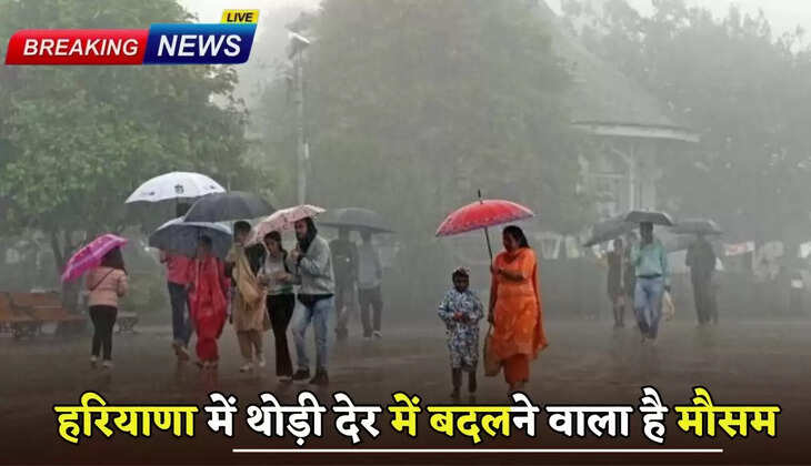 Weather is going to change in Haryana in a short while, there will be heavy rain in these districts