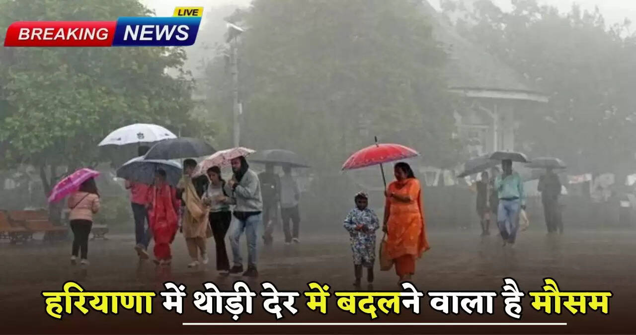 Weather is going to change in Haryana in a short while, there will be heavy rain in these districts