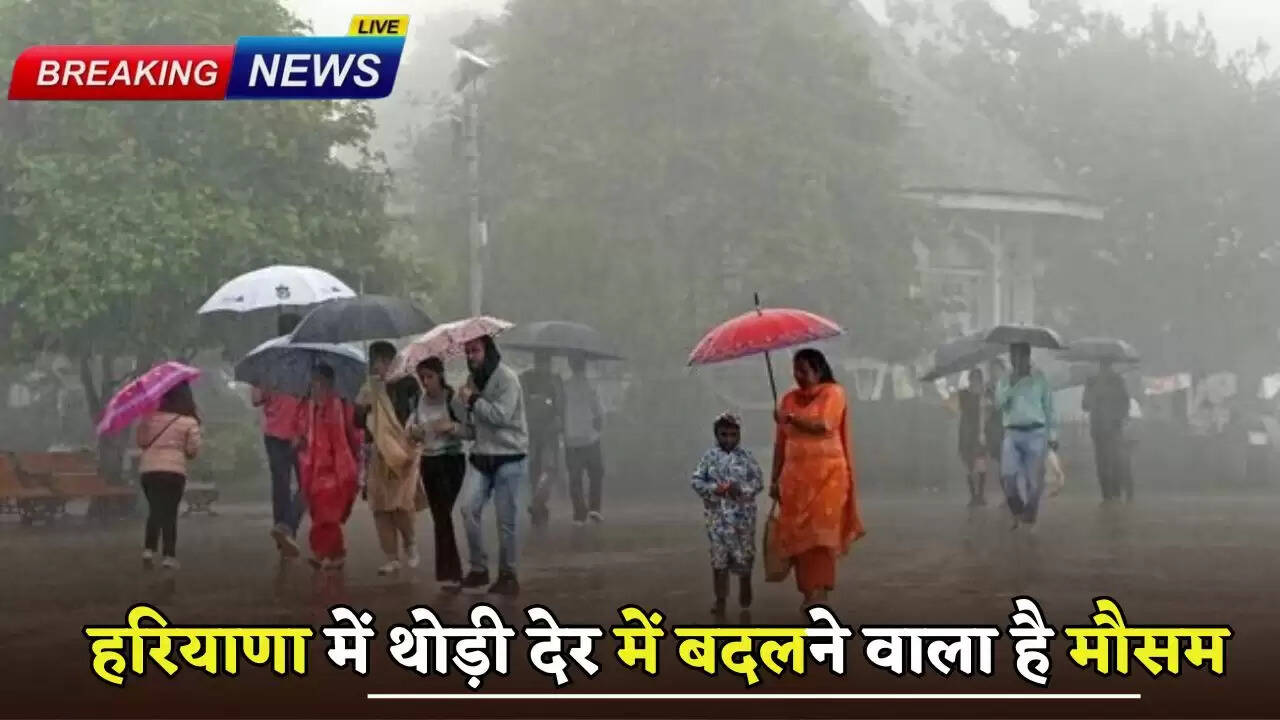 Weather is going to change in Haryana in a short while, there will be heavy rain in these districts