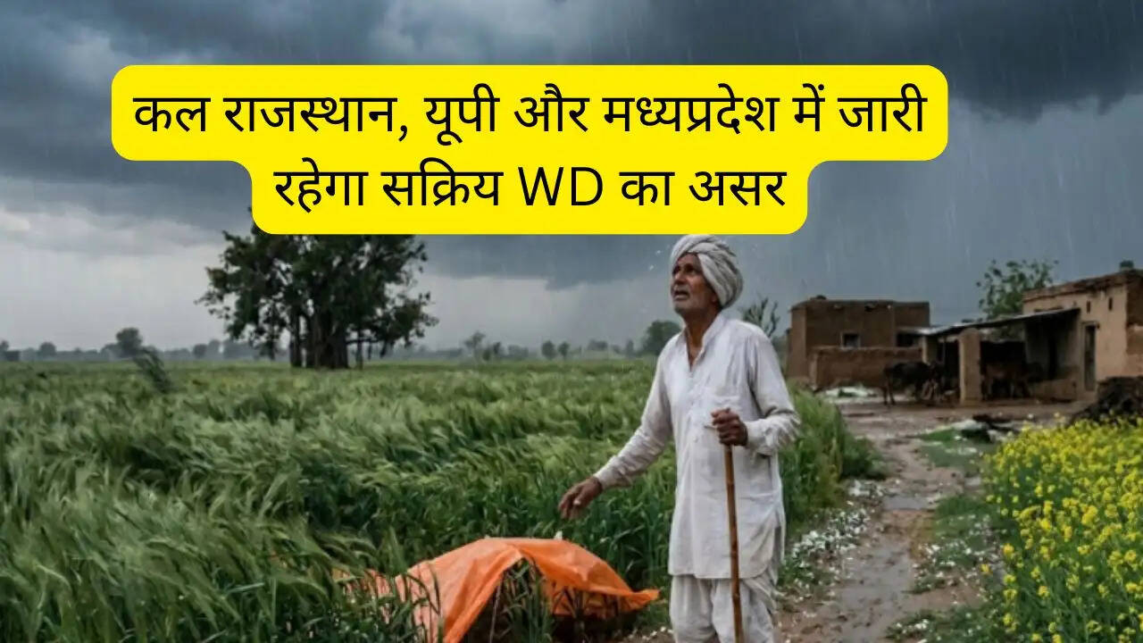 कल राजस्थान, यूपी और मध्यप्रदेश में जारी रहेगा सक्रिय WD का असर, पंजाब, हरियाणा, दिल्ली, पश्चिमी यूपी में घटेगी ताकत