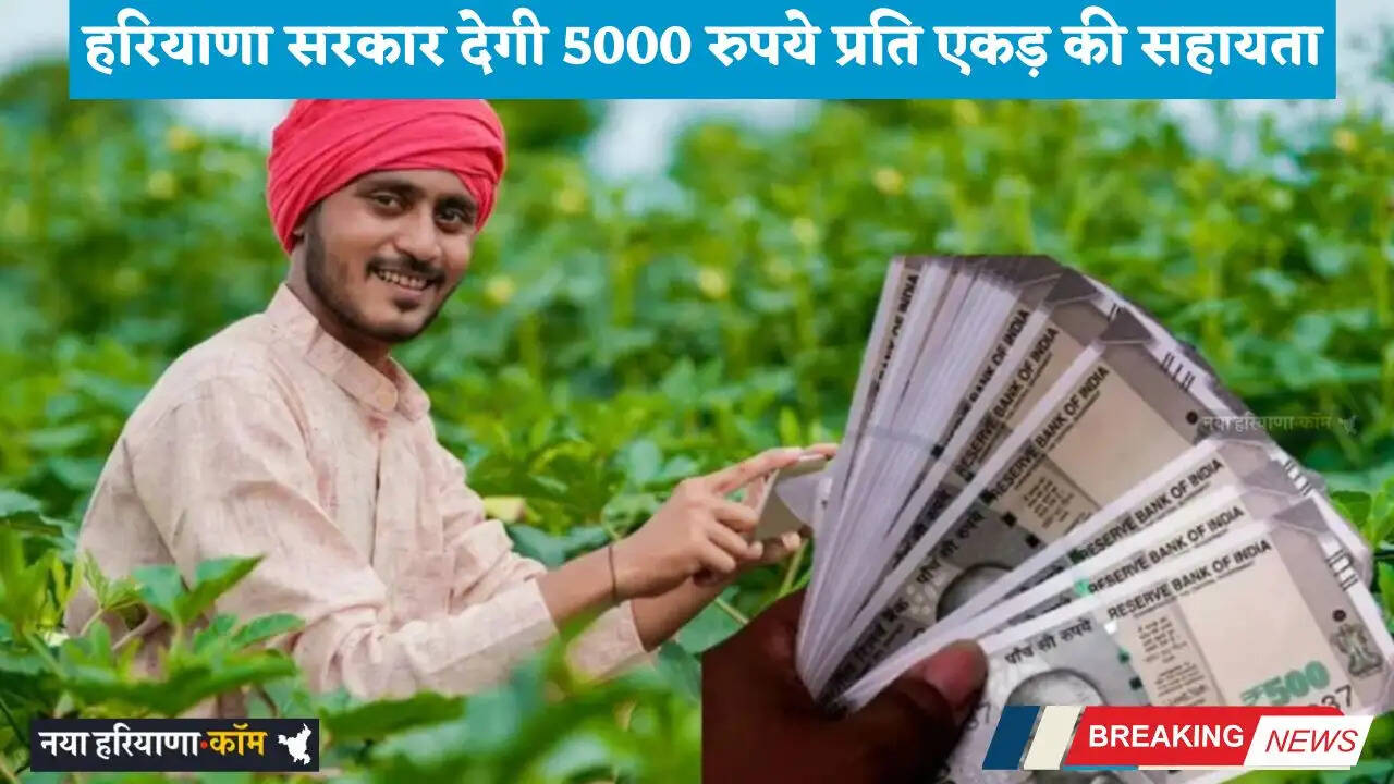 Haryana: हरियाणा के किसानों की हुई मौज, सरकार देगी 5000 रुपये प्रति एकड़ की सहायता&nbsp;