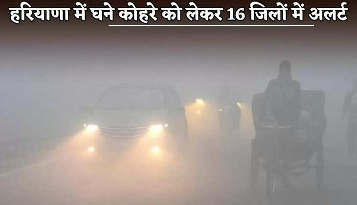 An alert has been issued in 16 districts of Haryana due to dense fog.