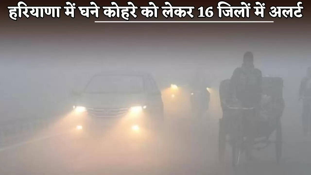 An alert has been issued in 16 districts of Haryana due to dense fog.