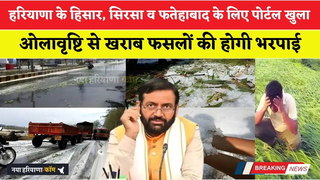 हरियाणा के हिसार, सिरसा व फतेहाबाद के लिए पोर्टल खुला, ओलावृष्टि से खराब फसलों की होगी भरपाई