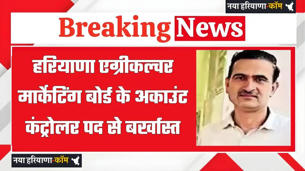 हरियाणा एग्रीकल्चर मार्केटिंग बोर्ड के अकाउंट कंट्रोलर पद से बर्खास्त, सरकारी पैसों के गबन का आरोप