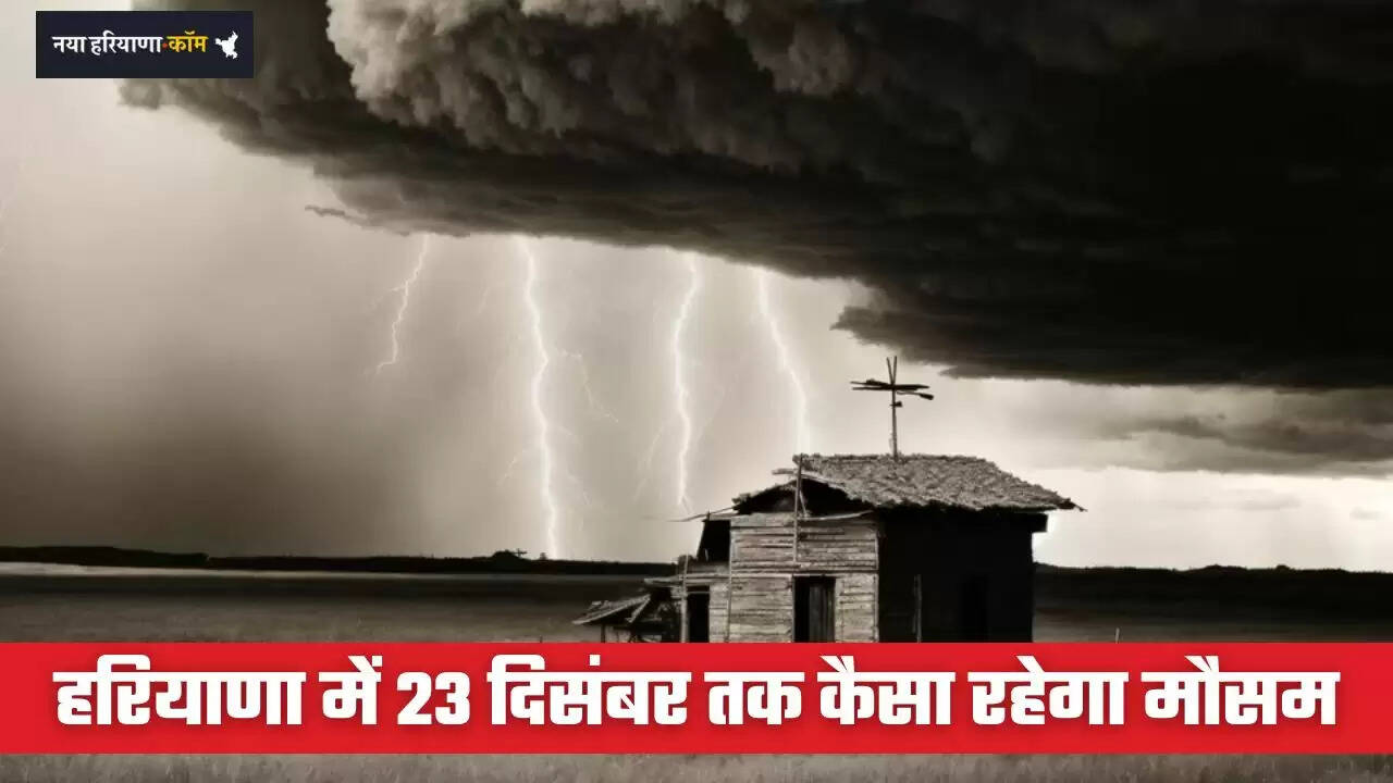 Haryana Weather: हरियाणा में 23 दिसंबर तक कैसा रहेगा मौसम, देखें ताजा अपडेट&nbsp;