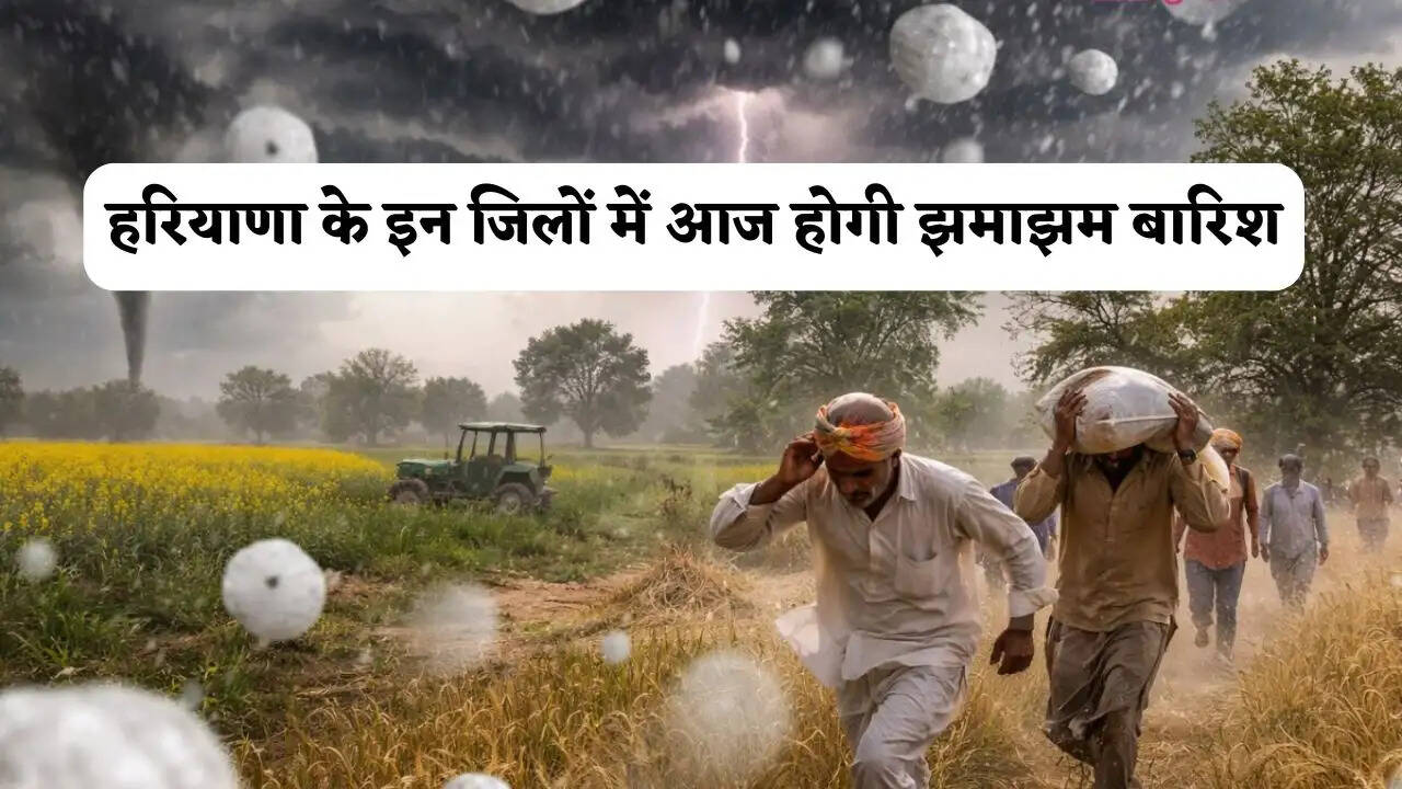 हरियाणा के इन जिलों में आज होगी झमाझम बारिश, कल से नया पश्चिमी विक्षोभ होगा सक्रिय
