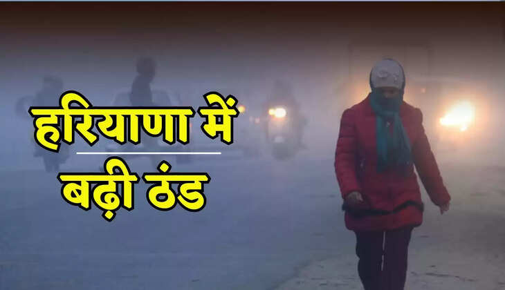 Cold increased in Haryana