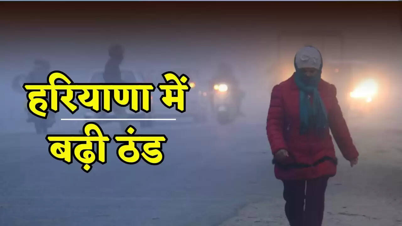 Cold increased in Haryana