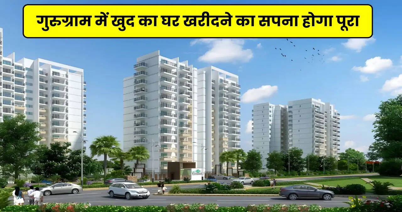 haryana news