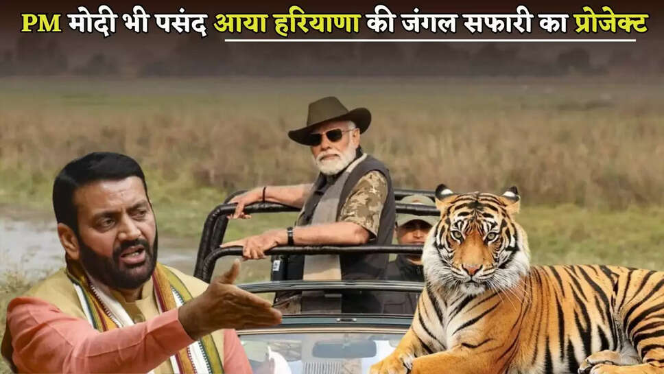 The design of Haryana's jungle safari is ready