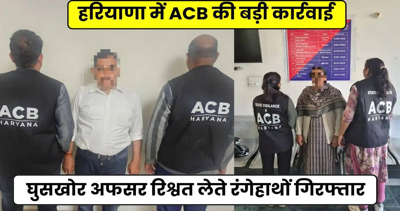 HARYANA NEWS