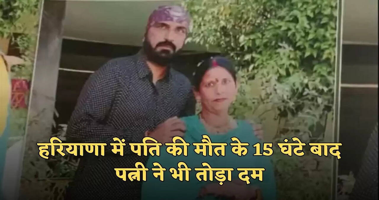 haryana news