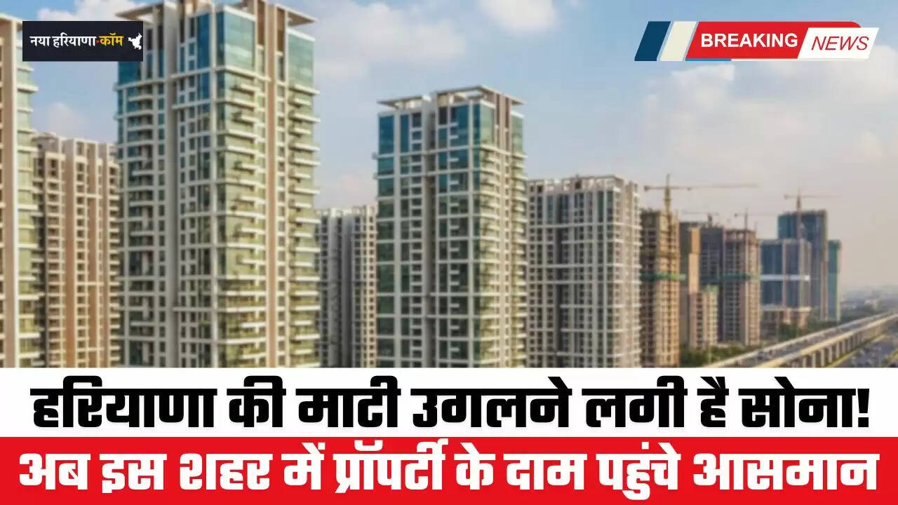 Haryana: हरियाणा की माटी उगलने लगी है सोना ! अब इस शहर में प्रॉपर्टी के दाम पहुंचे आसमान पर...