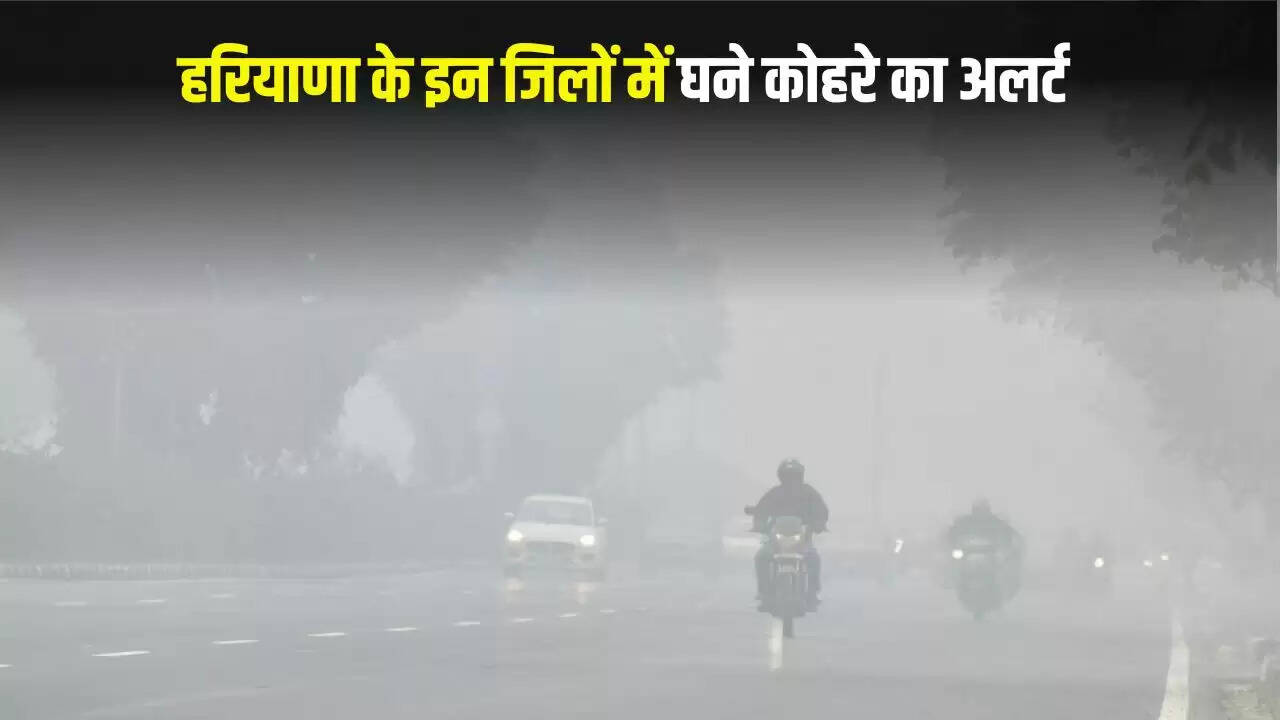 Haryana Weather Update