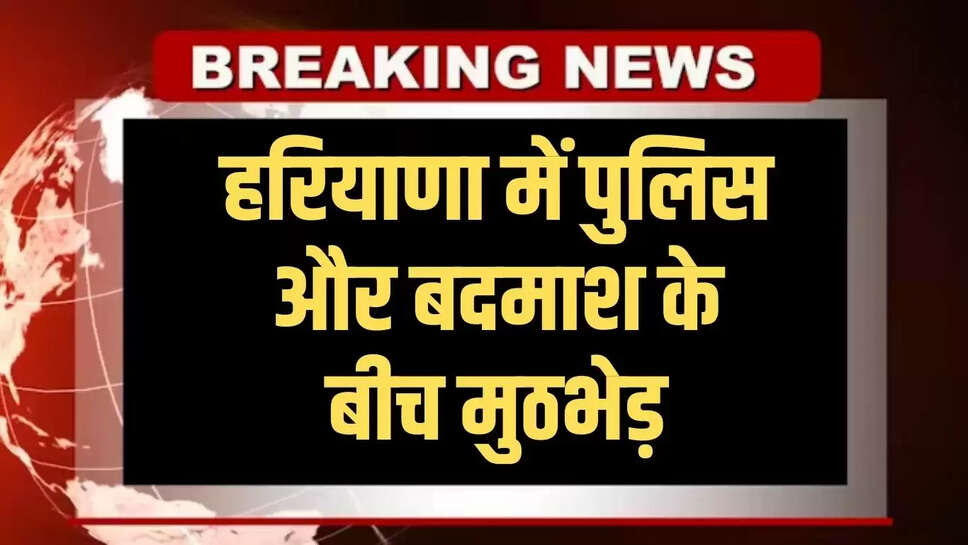 haryana news