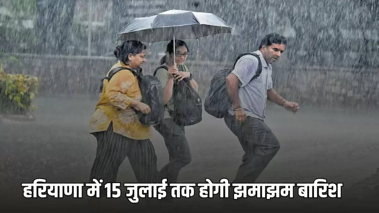  There will be heavy rain in Haryana till July 15, Meteorological Department has released this big update