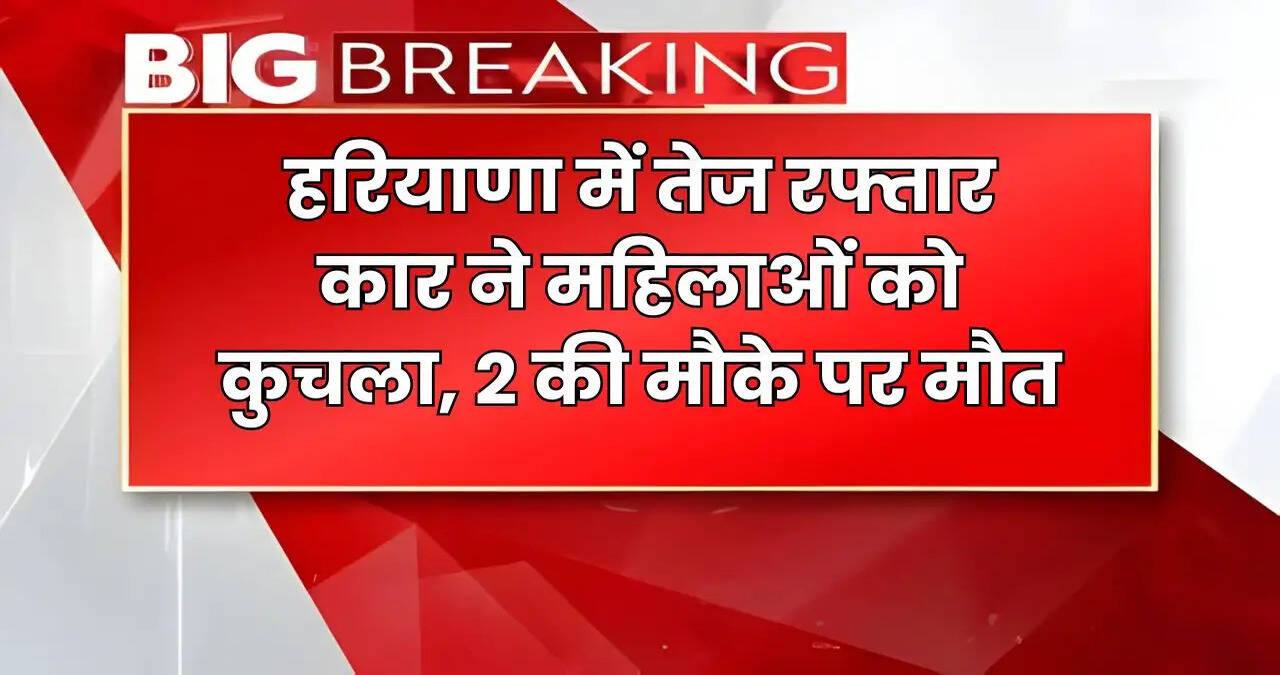 haryana news