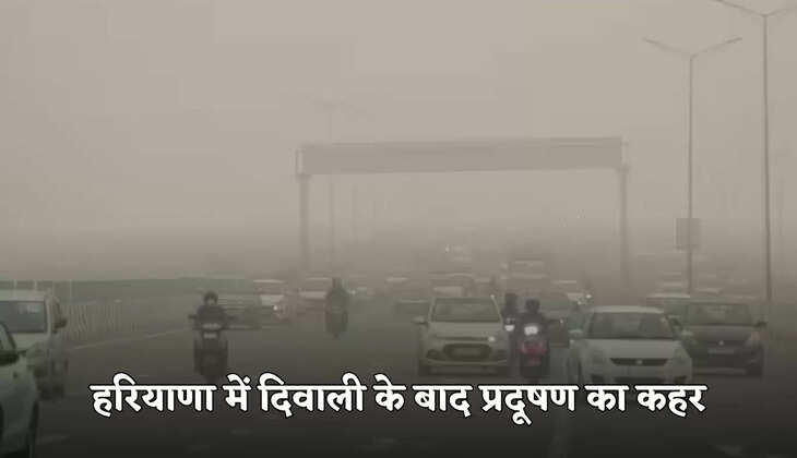 haryana news