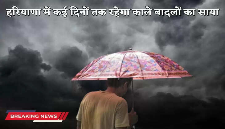 Shadow of dark clouds will remain in Haryana for many days