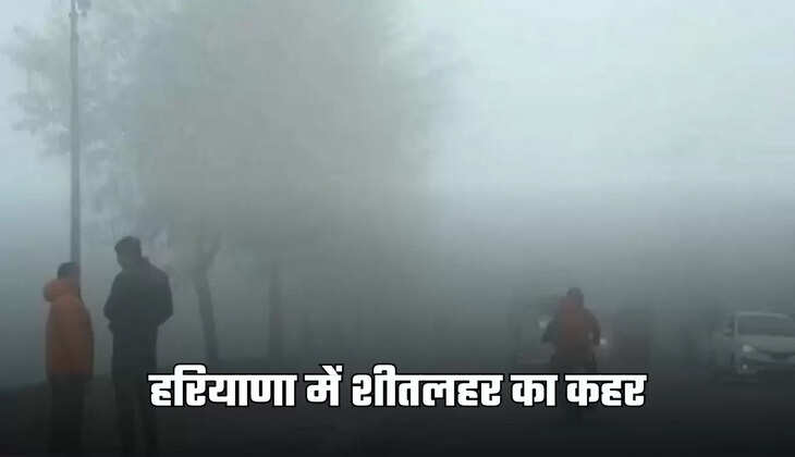 haryana weather