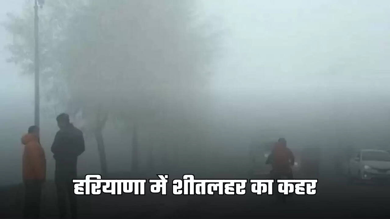 haryana weather