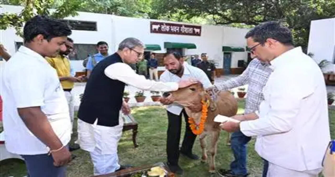 हरियाणा के राज्यपाल प्रो. असीम कुमार घोष ने हरियाणा लोक भवन में भव्य गौशाला का किया उद्घाटन, नन्ही गाय का नाम रखा गौरी