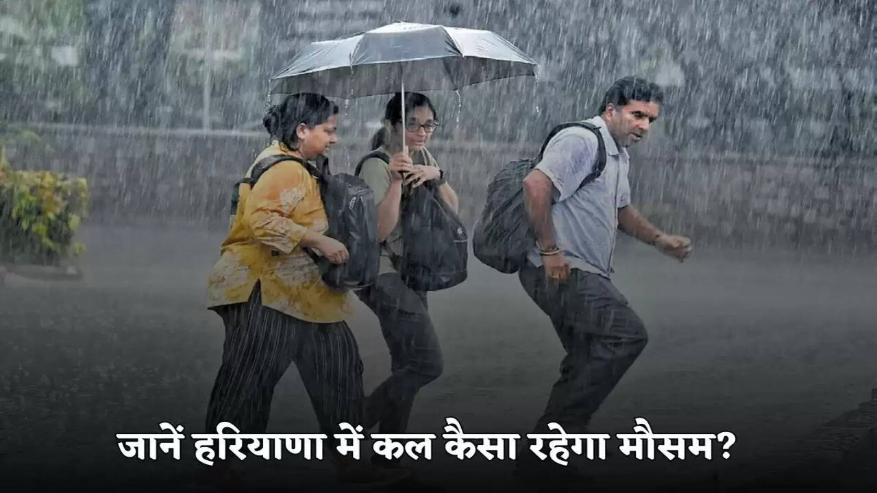 Haryana Weather Update: There will be continuous rain in Haryana for six days, know what will be the weather tomorrow