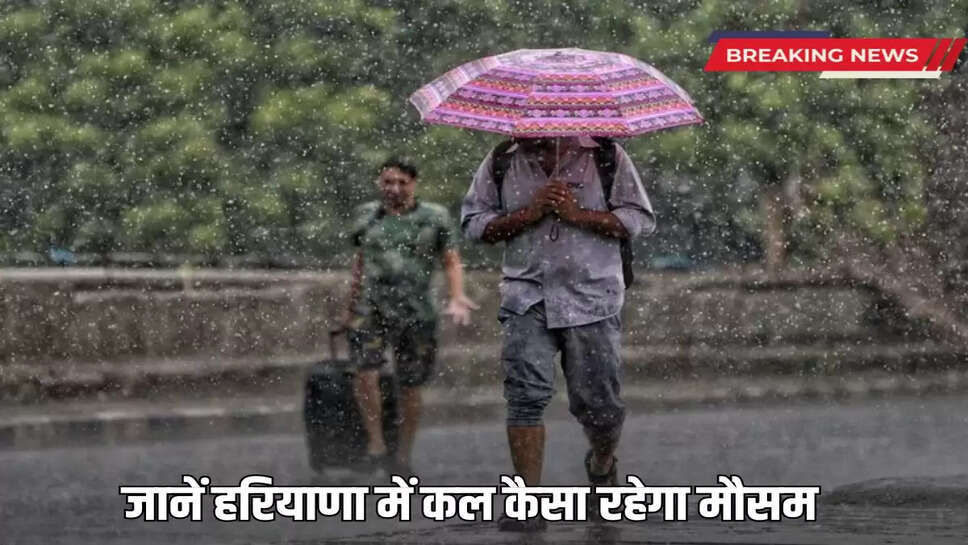 Know what will be the weather in Haryana tomorrow