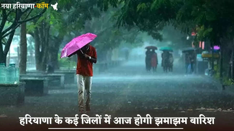 There will be heavy rain in many districts of Haryana today