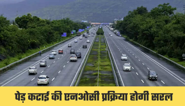 हरियाणा में पेड़ कटाई की एनओसी प्रक्रिया होगी सरल, अधिकारियों को दिए निर्देश