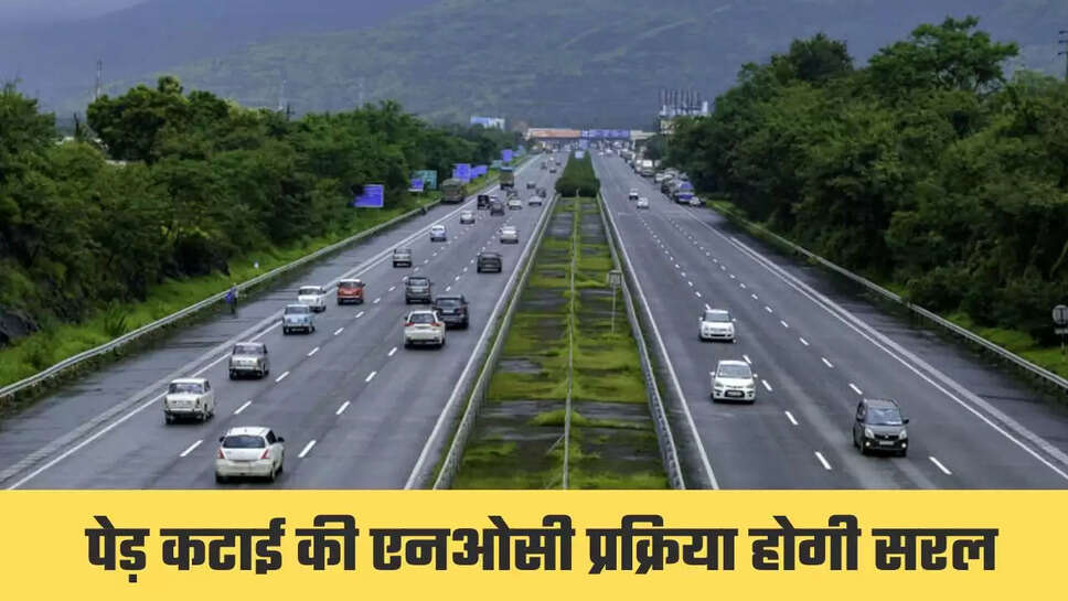 हरियाणा में पेड़ कटाई की एनओसी प्रक्रिया होगी सरल, अधिकारियों को दिए निर्देश