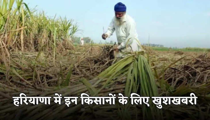 haryana farmers