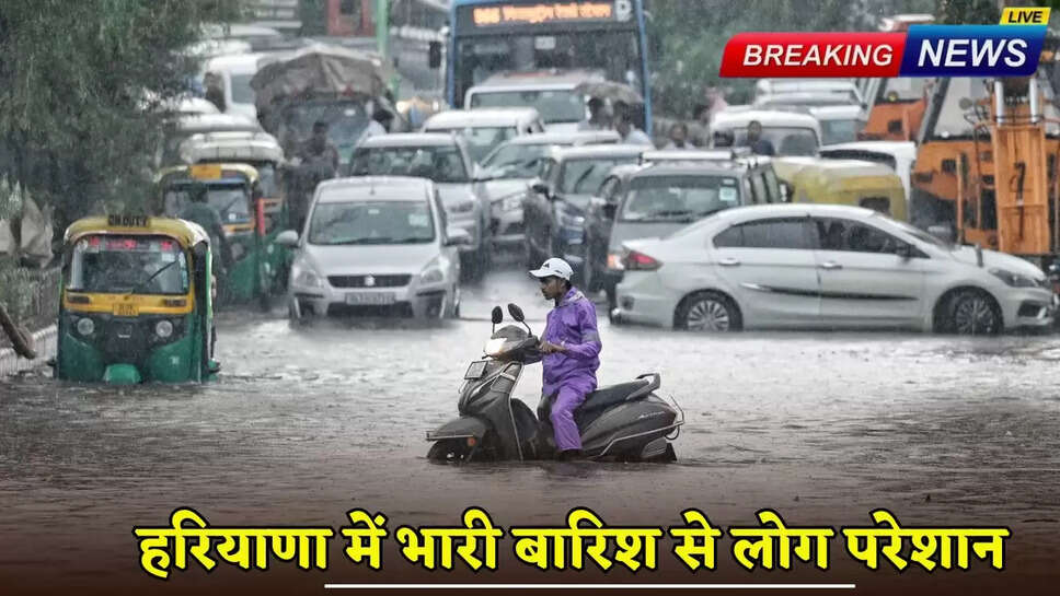 People are troubled due to heavy rain in Haryana
