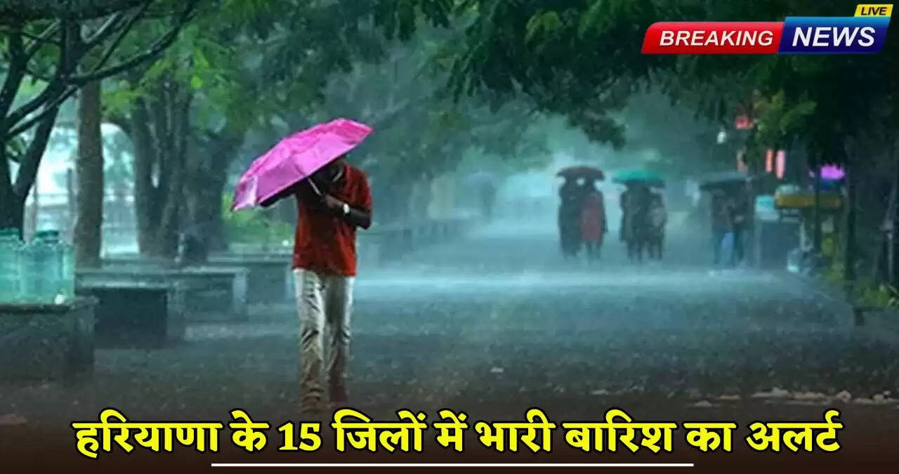 Heavy rain alert in 15 districts of Haryana