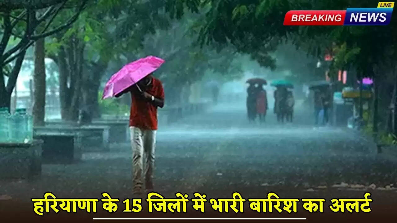 Heavy rain alert in 15 districts of Haryana